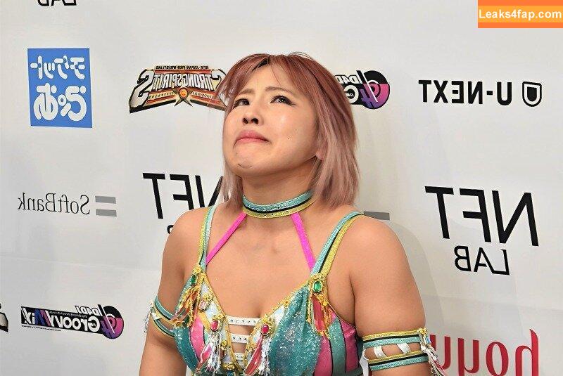 Mina Shirakawa / mina_shirakawa leaked photo photo #0731