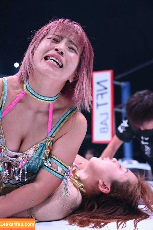 Mina Shirakawa / mina_shirakawa leaked photo photo #0732