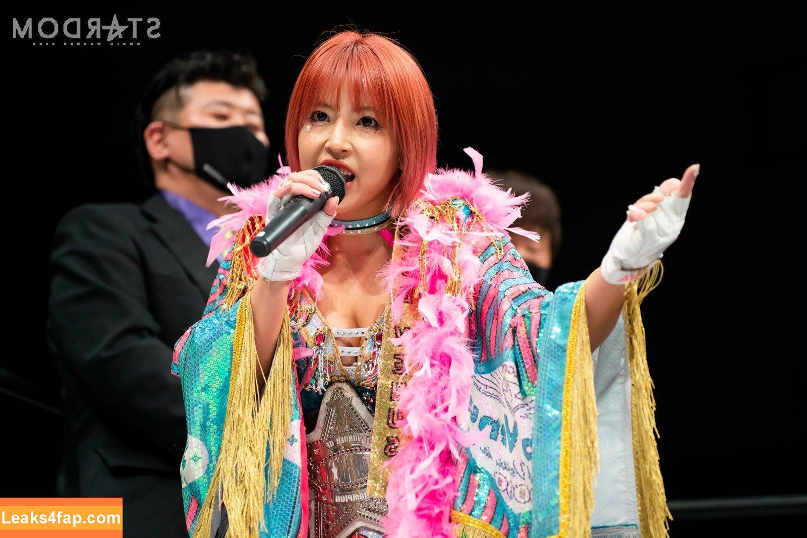 Mina Shirakawa / mina_shirakawa leaked photo photo #0733