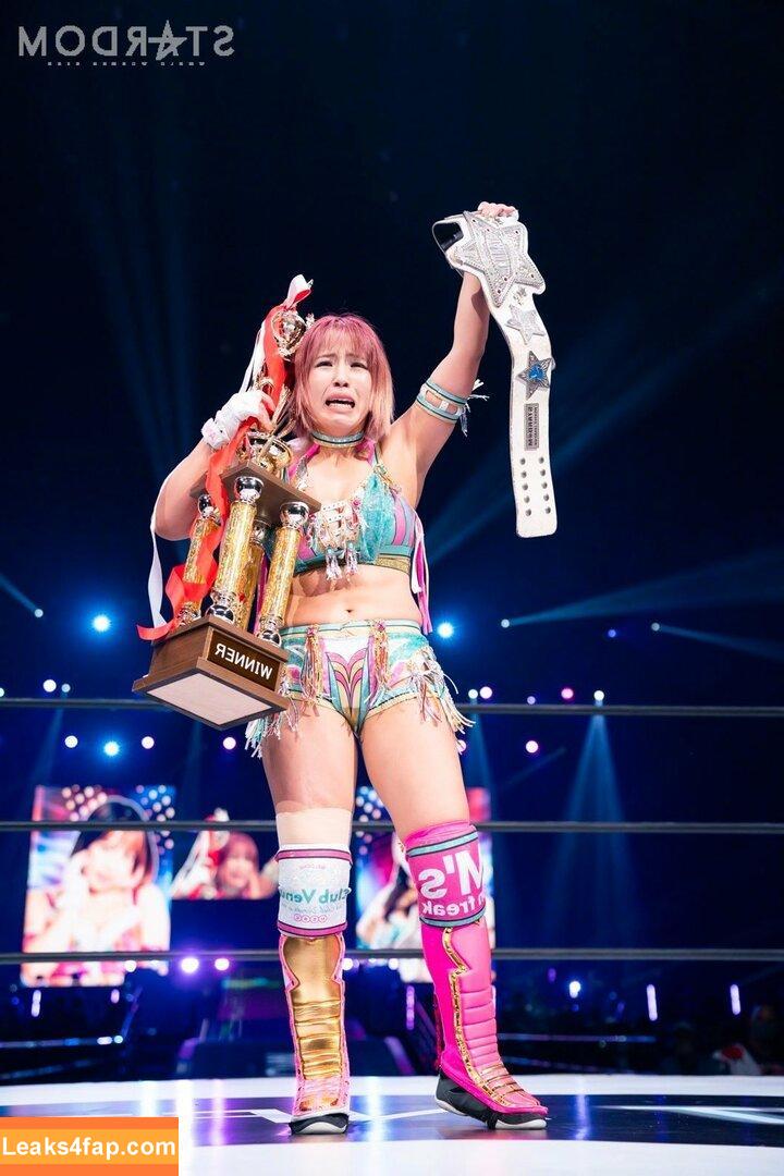 Mina Shirakawa / mina_shirakawa leaked photo photo #0739