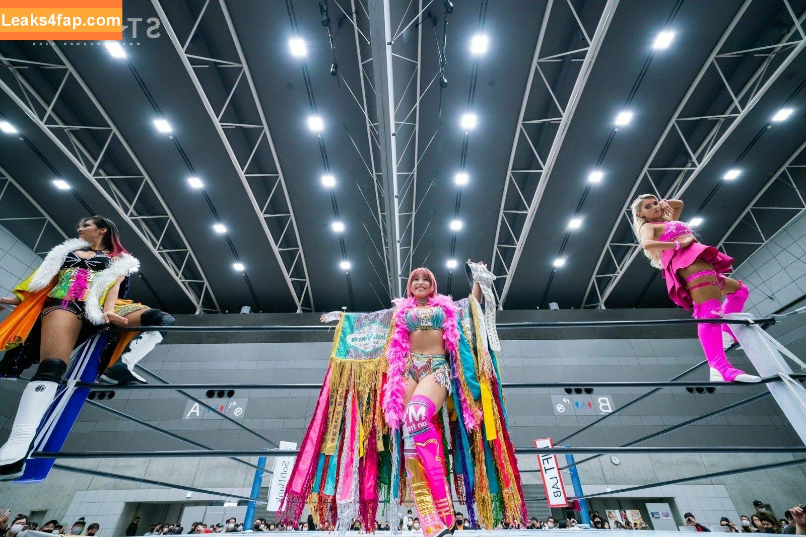 Mina Shirakawa / mina_shirakawa leaked photo photo #0742