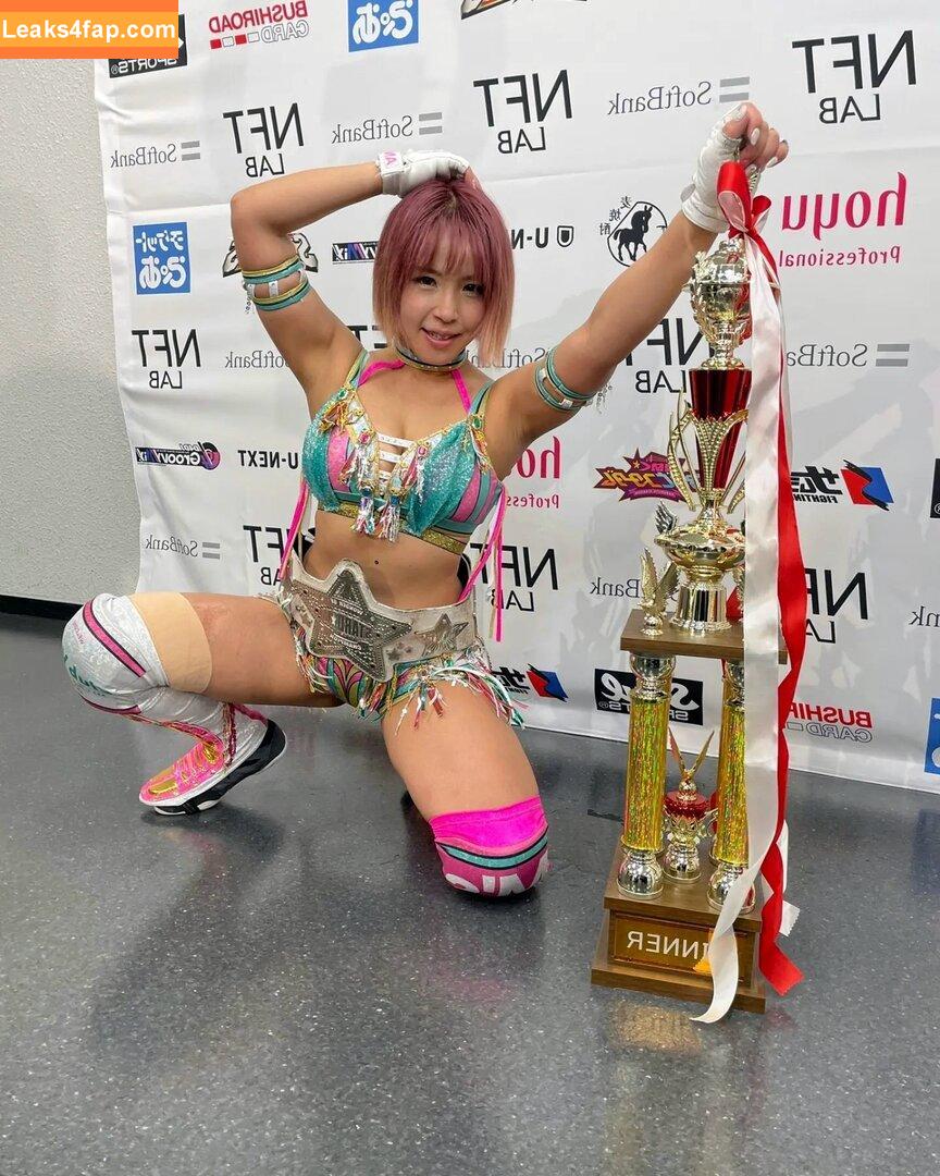 Mina Shirakawa / mina_shirakawa leaked photo photo #0750