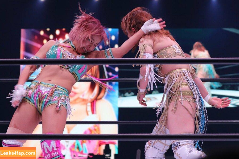 Mina Shirakawa / mina_shirakawa leaked photo photo #0759