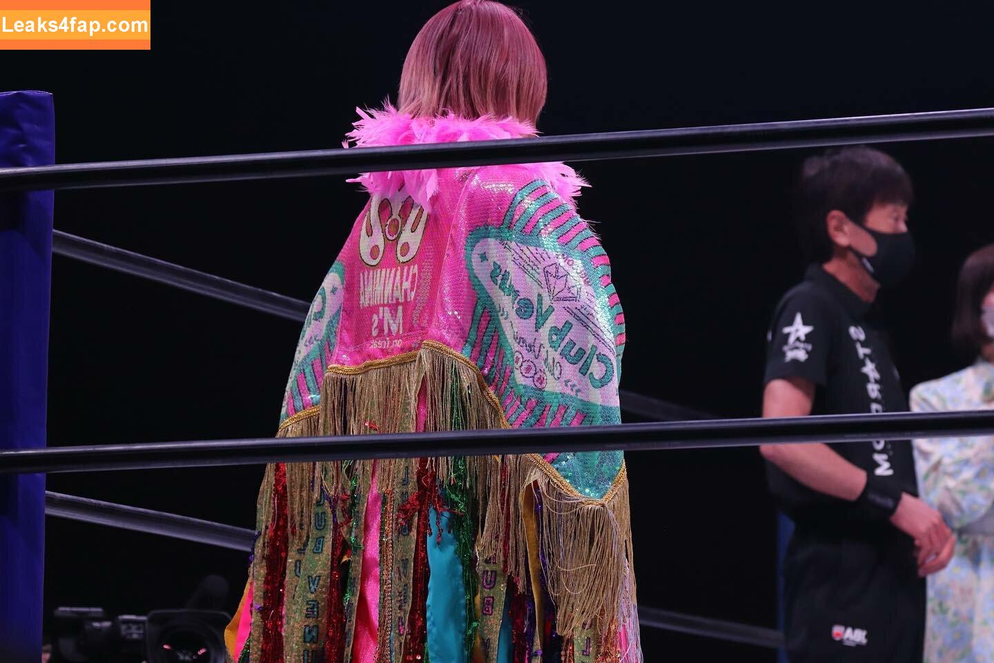 Mina Shirakawa / mina_shirakawa leaked photo photo #0760