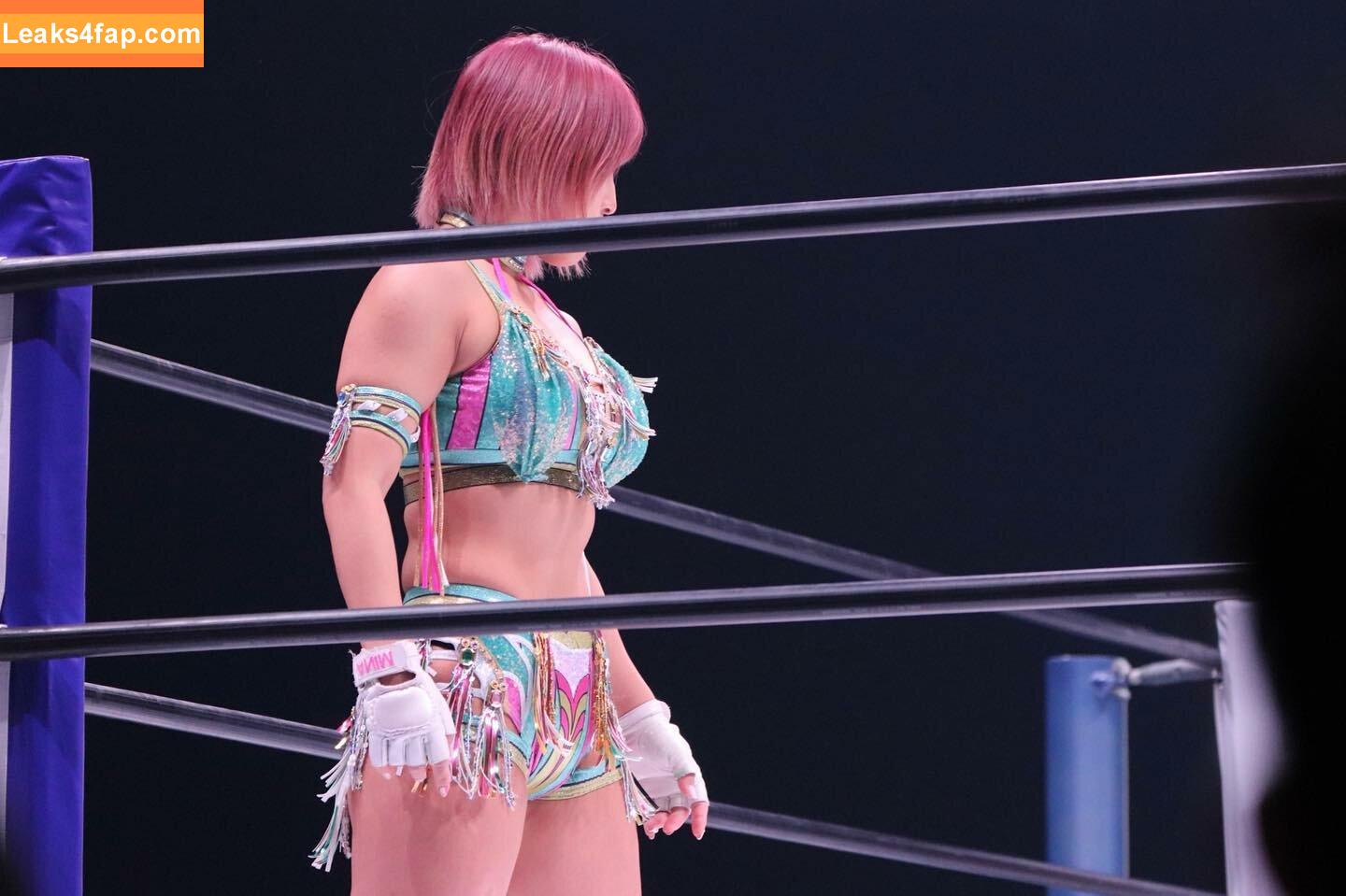 Mina Shirakawa / mina_shirakawa leaked photo photo #0764