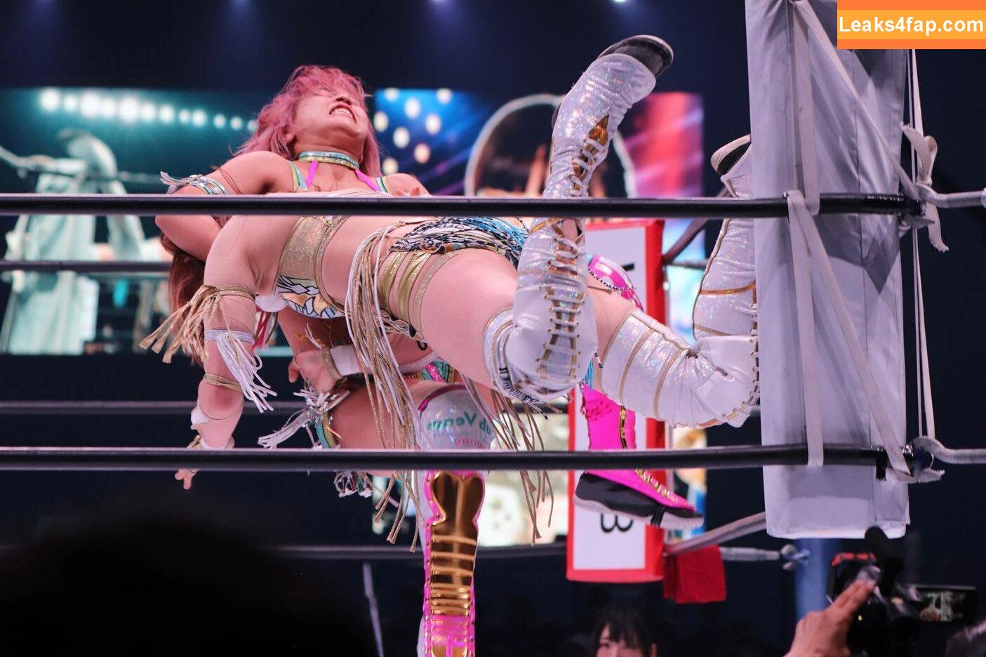 Mina Shirakawa / mina_shirakawa leaked photo photo #0766