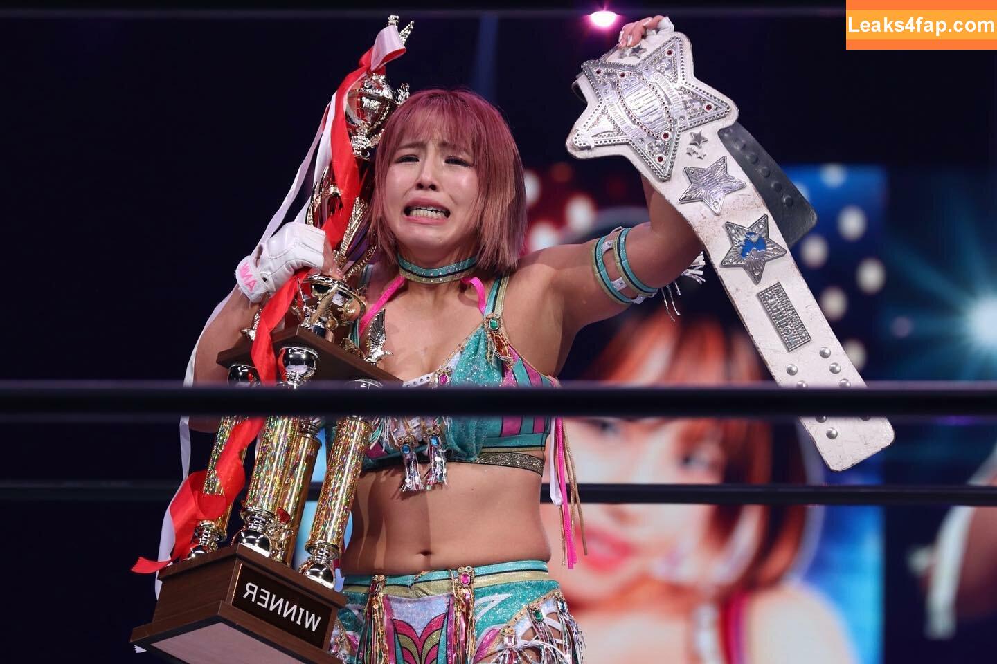 Mina Shirakawa / mina_shirakawa leaked photo photo #0770