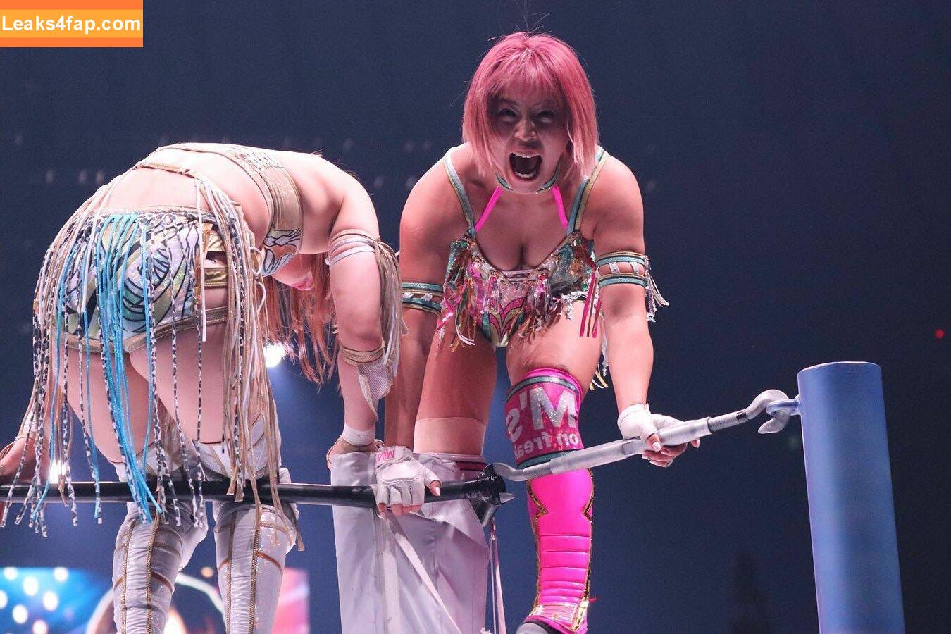 Mina Shirakawa / mina_shirakawa leaked photo photo #0771