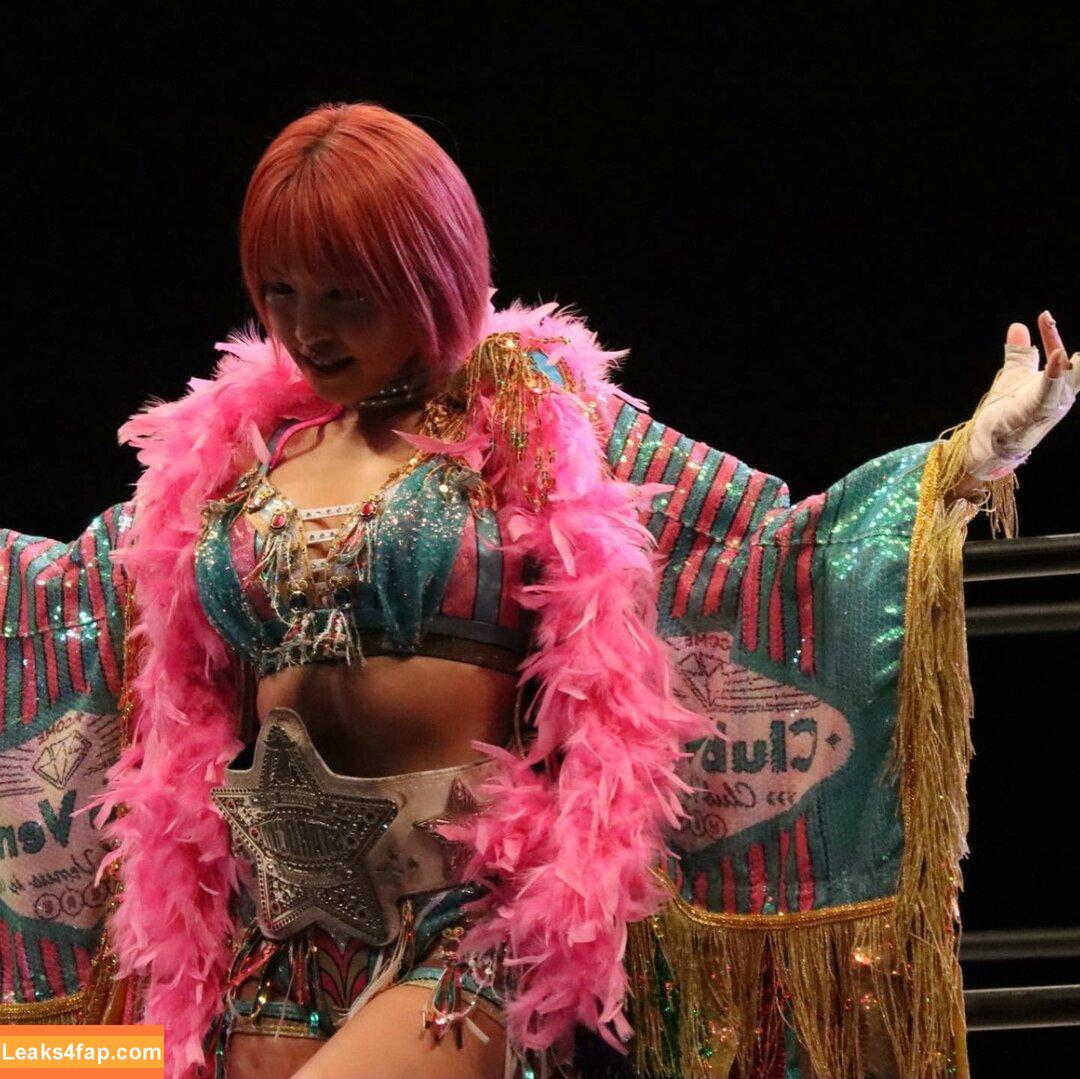 Mina Shirakawa / mina_shirakawa leaked photo photo #0776