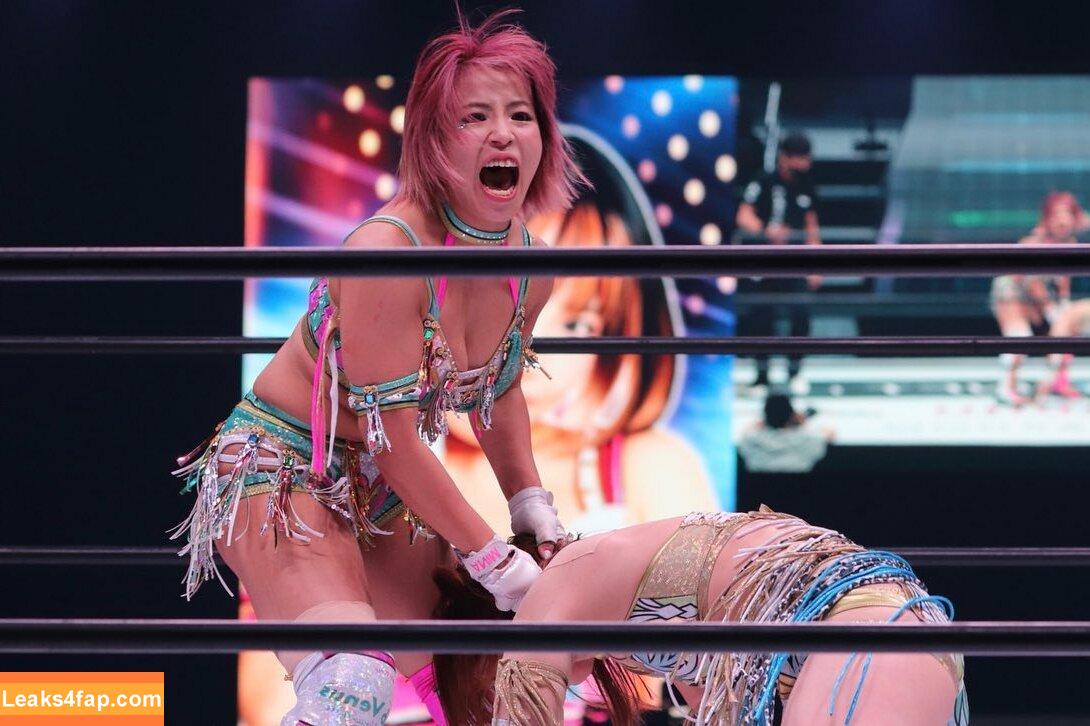 Mina Shirakawa / mina_shirakawa leaked photo photo #0777