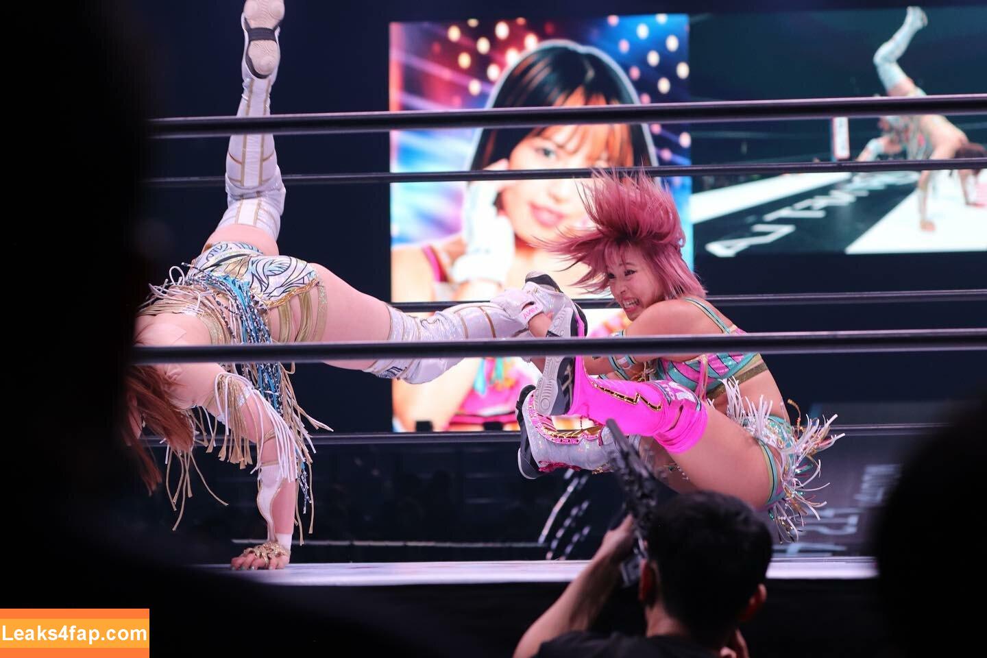 Mina Shirakawa / mina_shirakawa leaked photo photo #0778