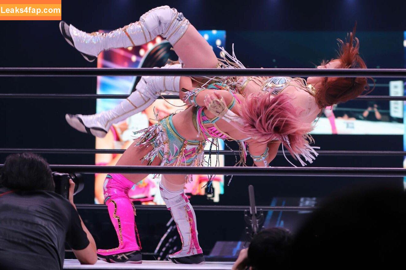 Mina Shirakawa / mina_shirakawa leaked photo photo #0779