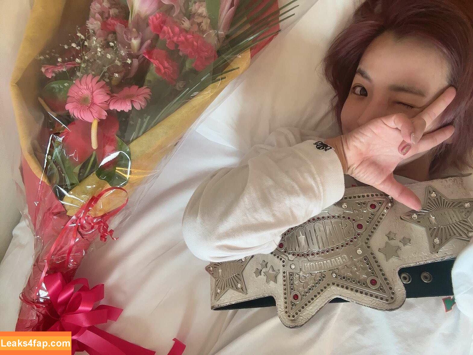 Mina Shirakawa / mina_shirakawa leaked photo photo #0780