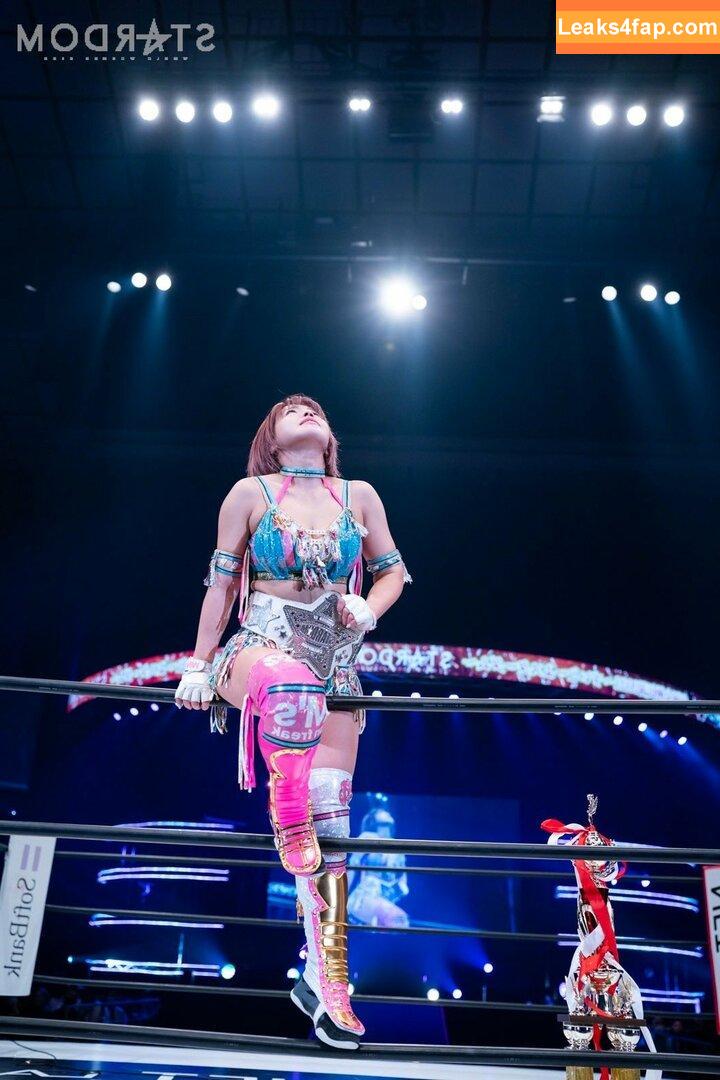 Mina Shirakawa / mina_shirakawa leaked photo photo #0784