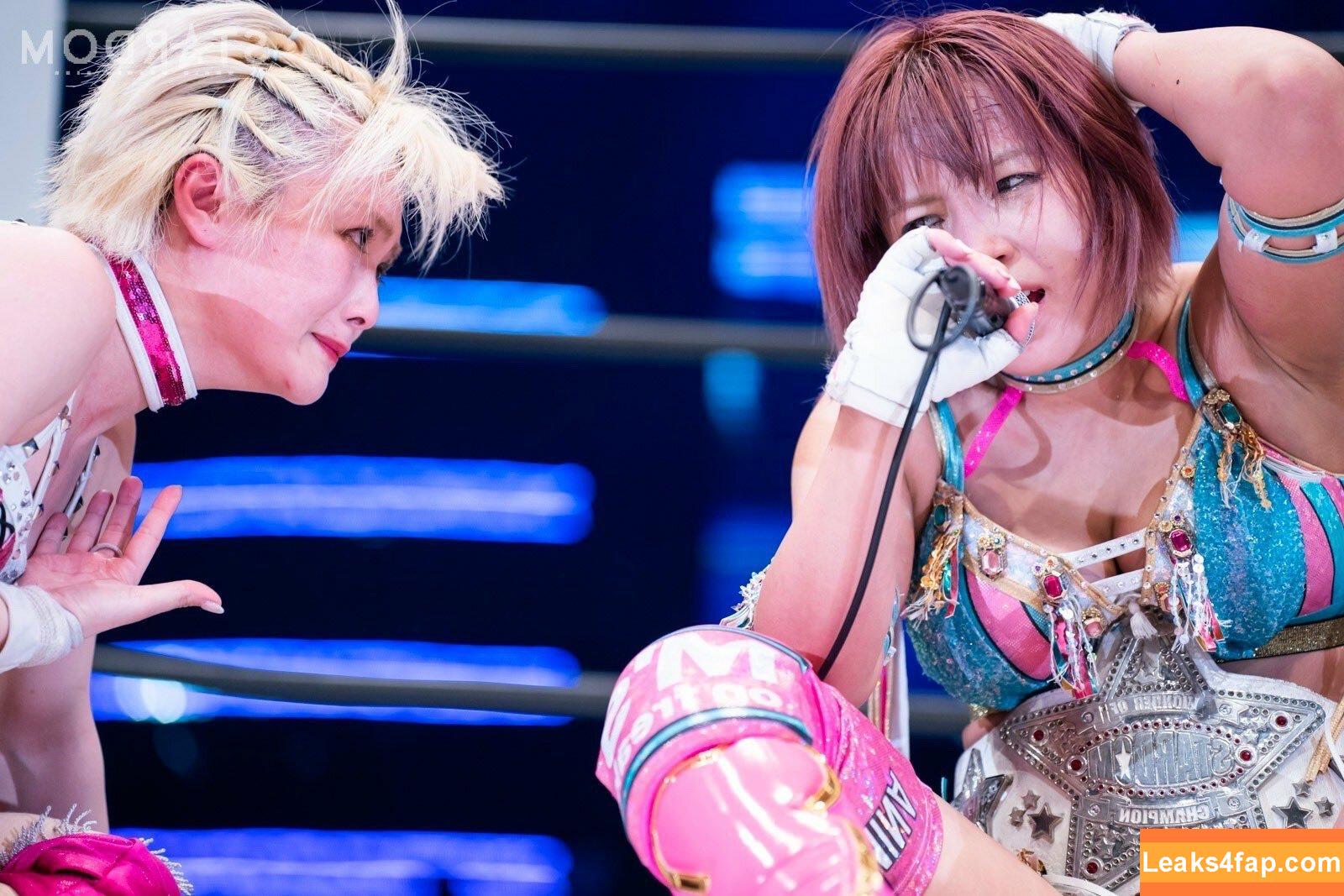 Mina Shirakawa / mina_shirakawa leaked photo photo #0790