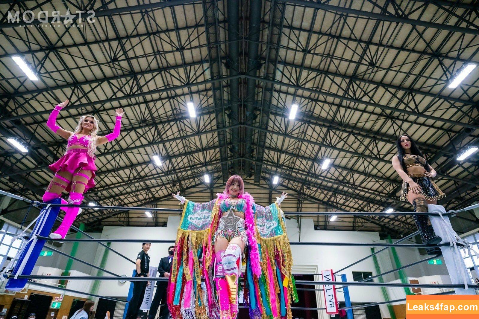 Mina Shirakawa / mina_shirakawa leaked photo photo #0795