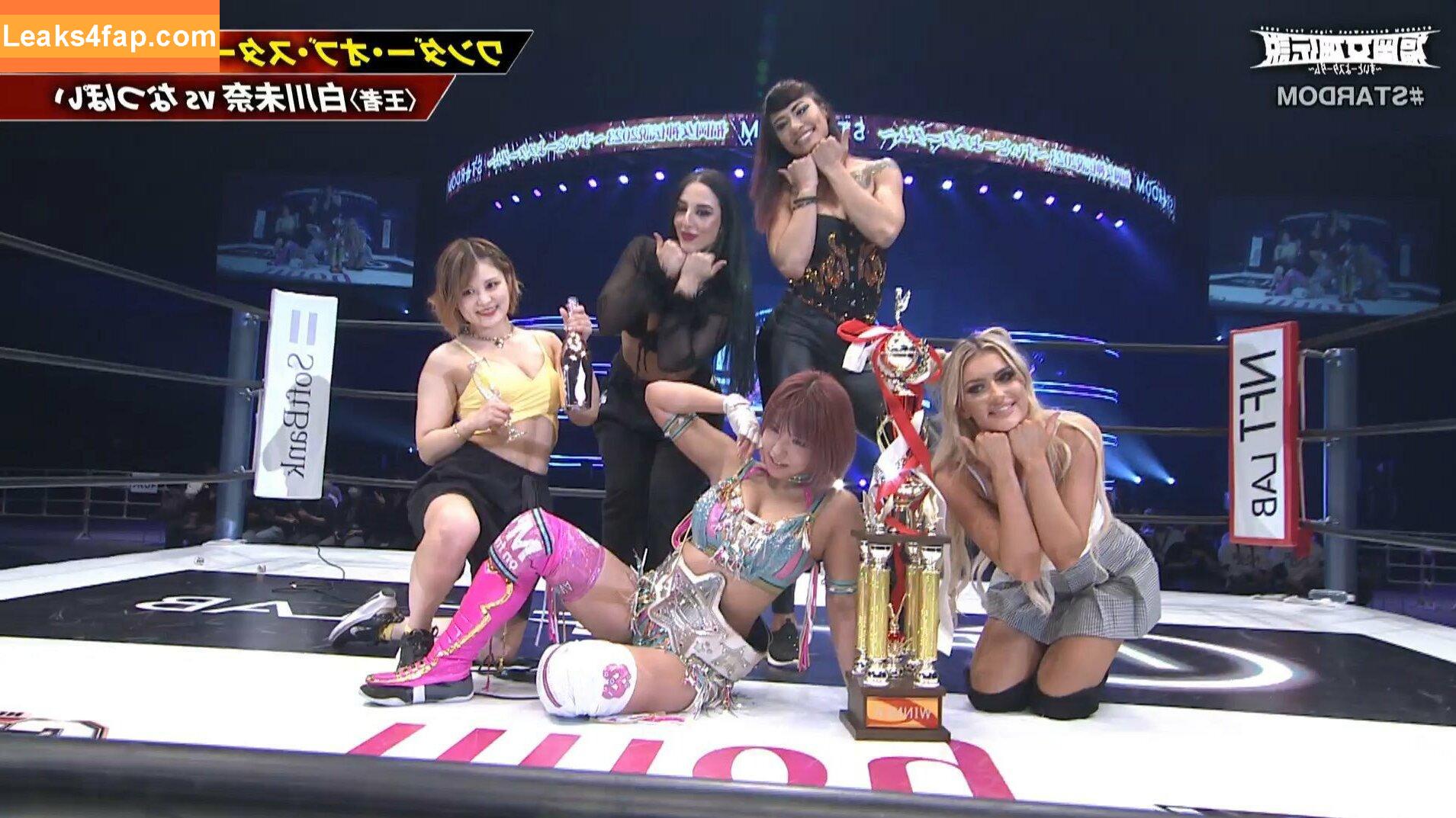 Mina Shirakawa / mina_shirakawa leaked photo photo #0797