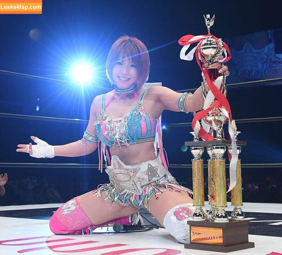 Mina Shirakawa / mina_shirakawa leaked photo photo #0798