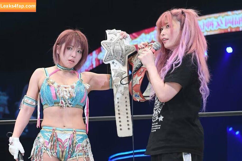 Mina Shirakawa / mina_shirakawa leaked photo photo #0799