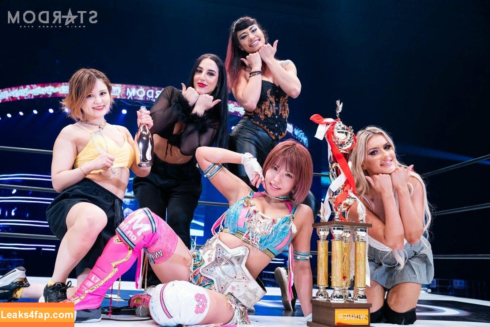 Mina Shirakawa / mina_shirakawa слитое фото фото #0800