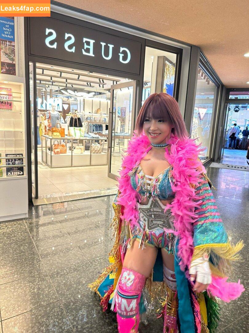 Mina Shirakawa / mina_shirakawa leaked photo photo #0806