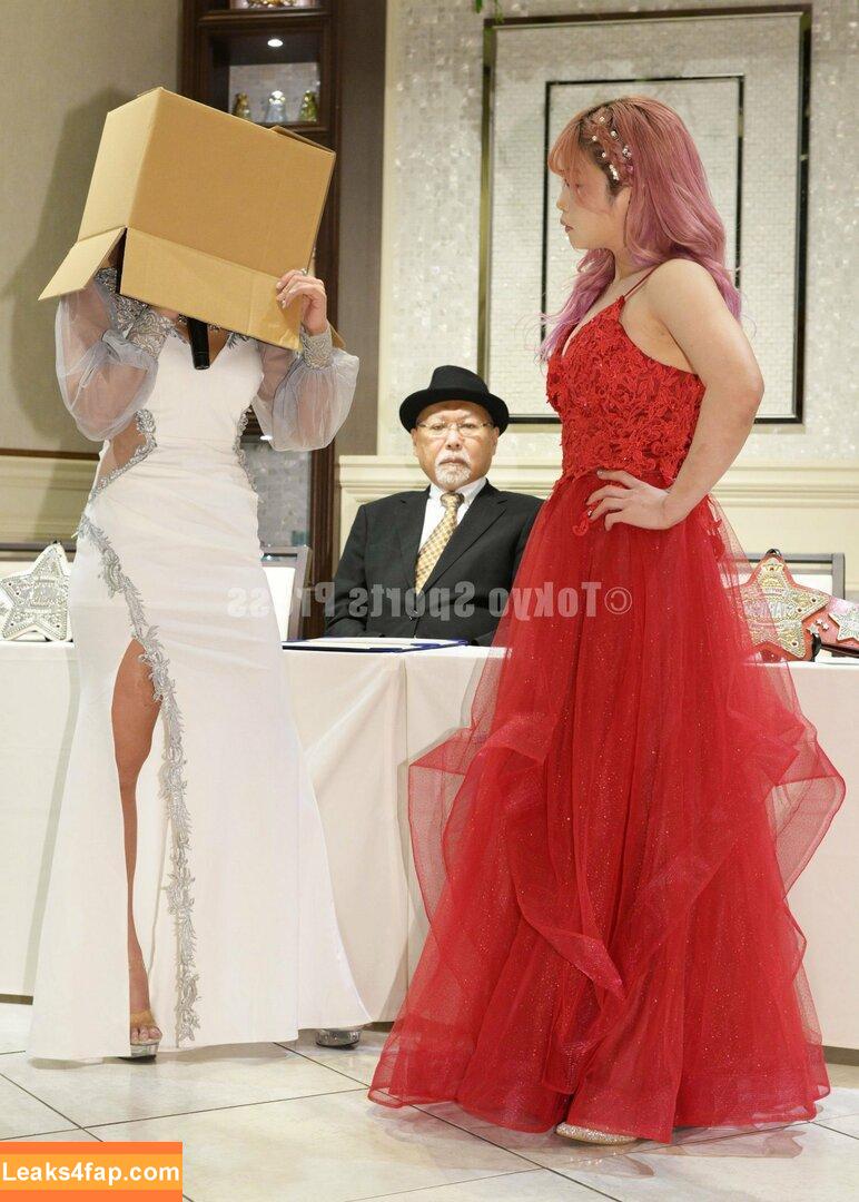 Mina Shirakawa / mina_shirakawa leaked photo photo #0812