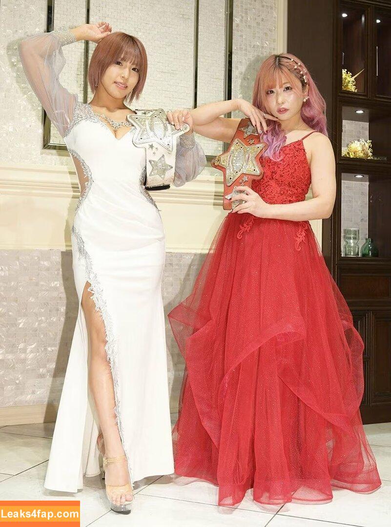 Mina Shirakawa / mina_shirakawa leaked photo photo #0821