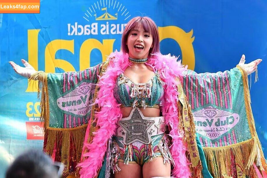 Mina Shirakawa / mina_shirakawa слитое фото фото #0822