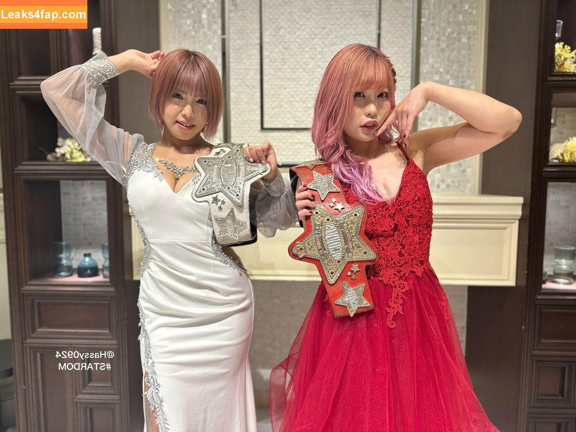 Mina Shirakawa / mina_shirakawa слитое фото фото #0824