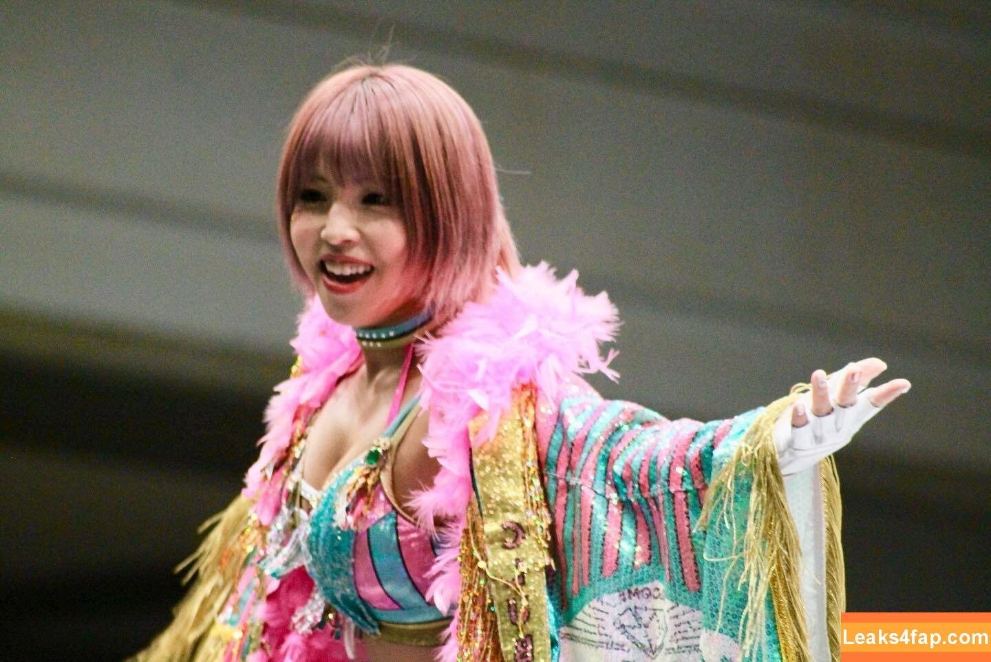 Mina Shirakawa / mina_shirakawa leaked photo photo #0832