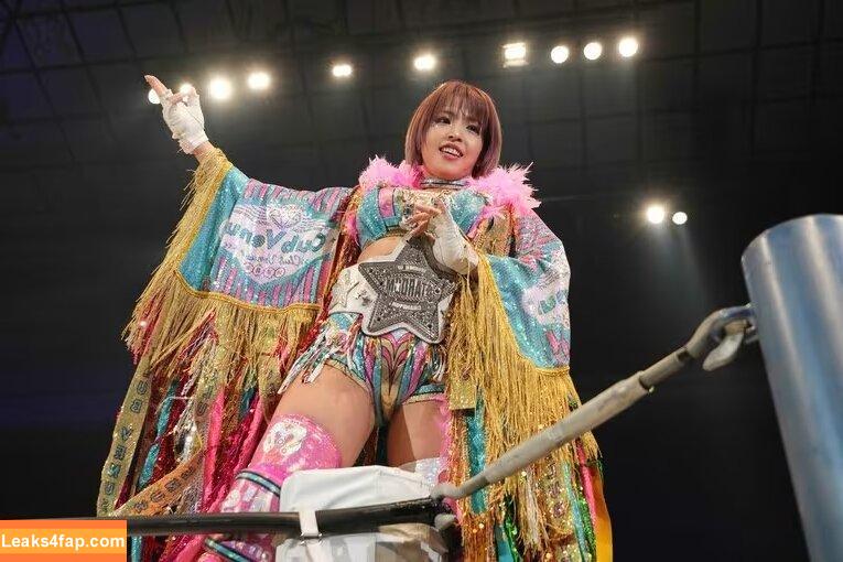 Mina Shirakawa / mina_shirakawa leaked photo photo #0841