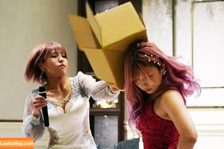 Mina Shirakawa / mina_shirakawa leaked photo photo #0843