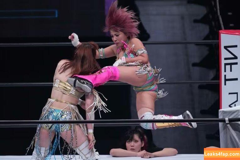 Mina Shirakawa / mina_shirakawa слитое фото фото #0847