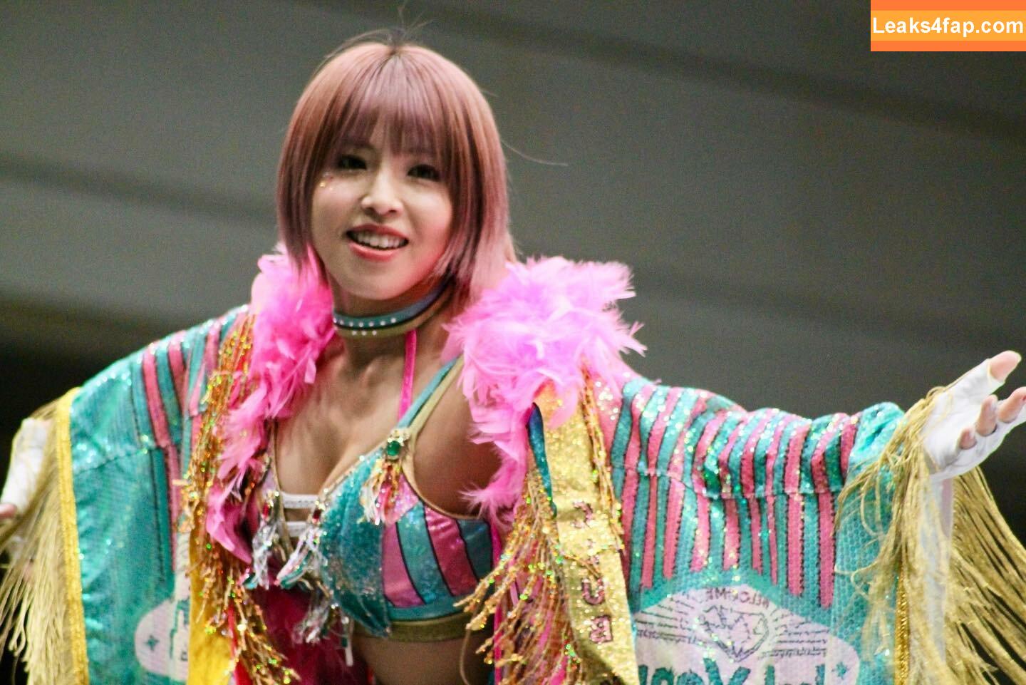 Mina Shirakawa / mina_shirakawa слитое фото фото #0849