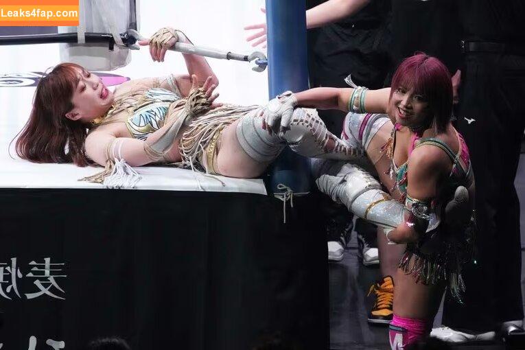 Mina Shirakawa / mina_shirakawa слитое фото фото #0851