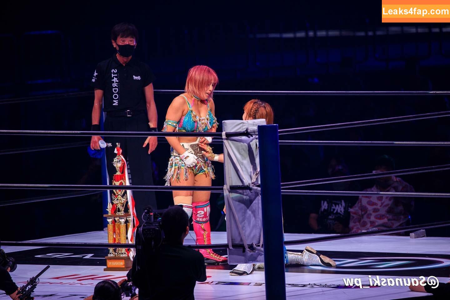 Mina Shirakawa / mina_shirakawa слитое фото фото #0855