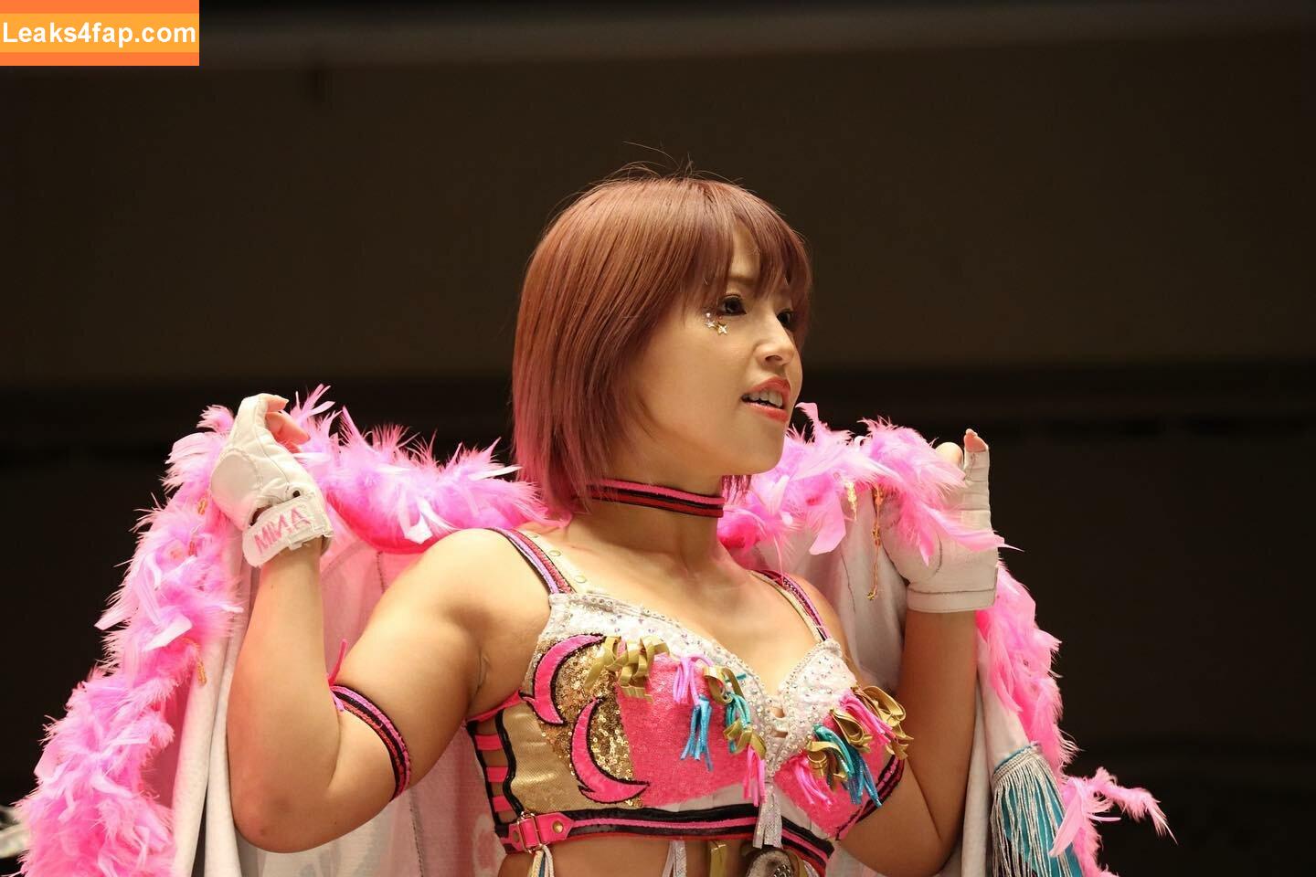 Mina Shirakawa / mina_shirakawa слитое фото фото #0856