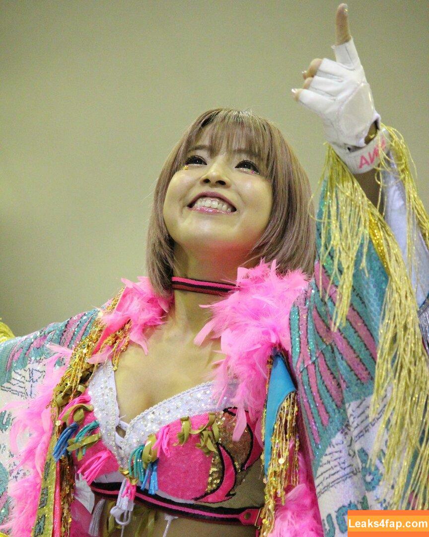 Mina Shirakawa / mina_shirakawa leaked photo photo #0861