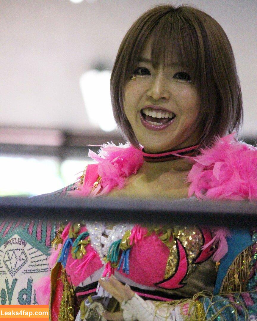 Mina Shirakawa / mina_shirakawa слитое фото фото #0867