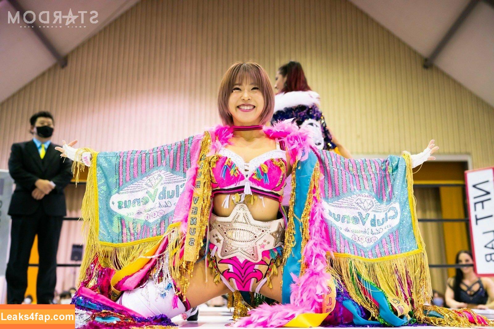 Mina Shirakawa / mina_shirakawa слитое фото фото #0869