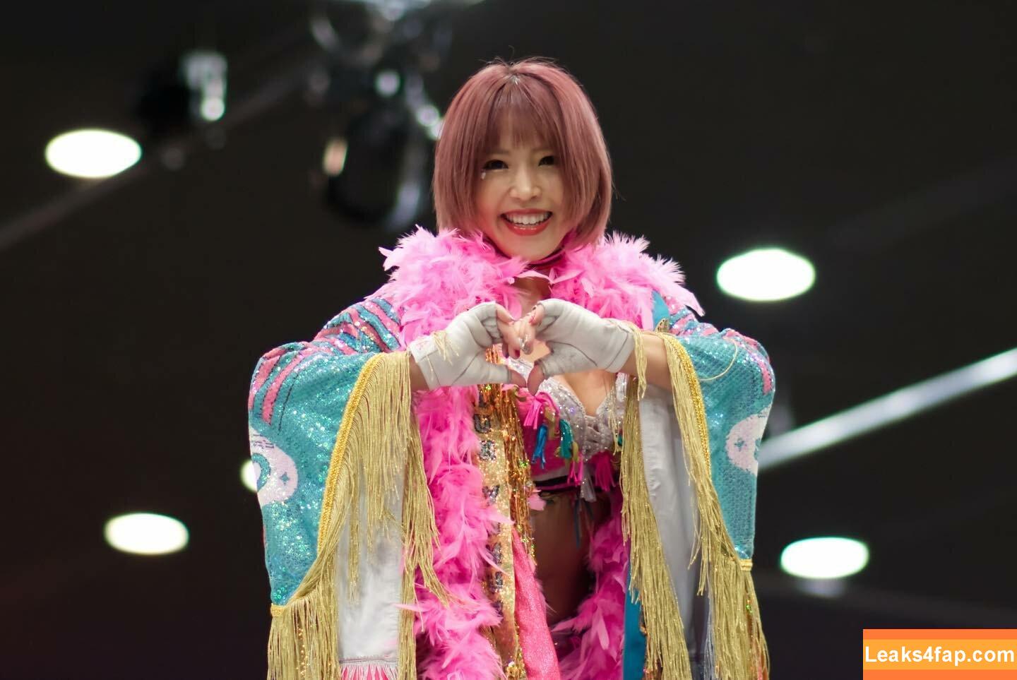 Mina Shirakawa / mina_shirakawa leaked photo photo #0961