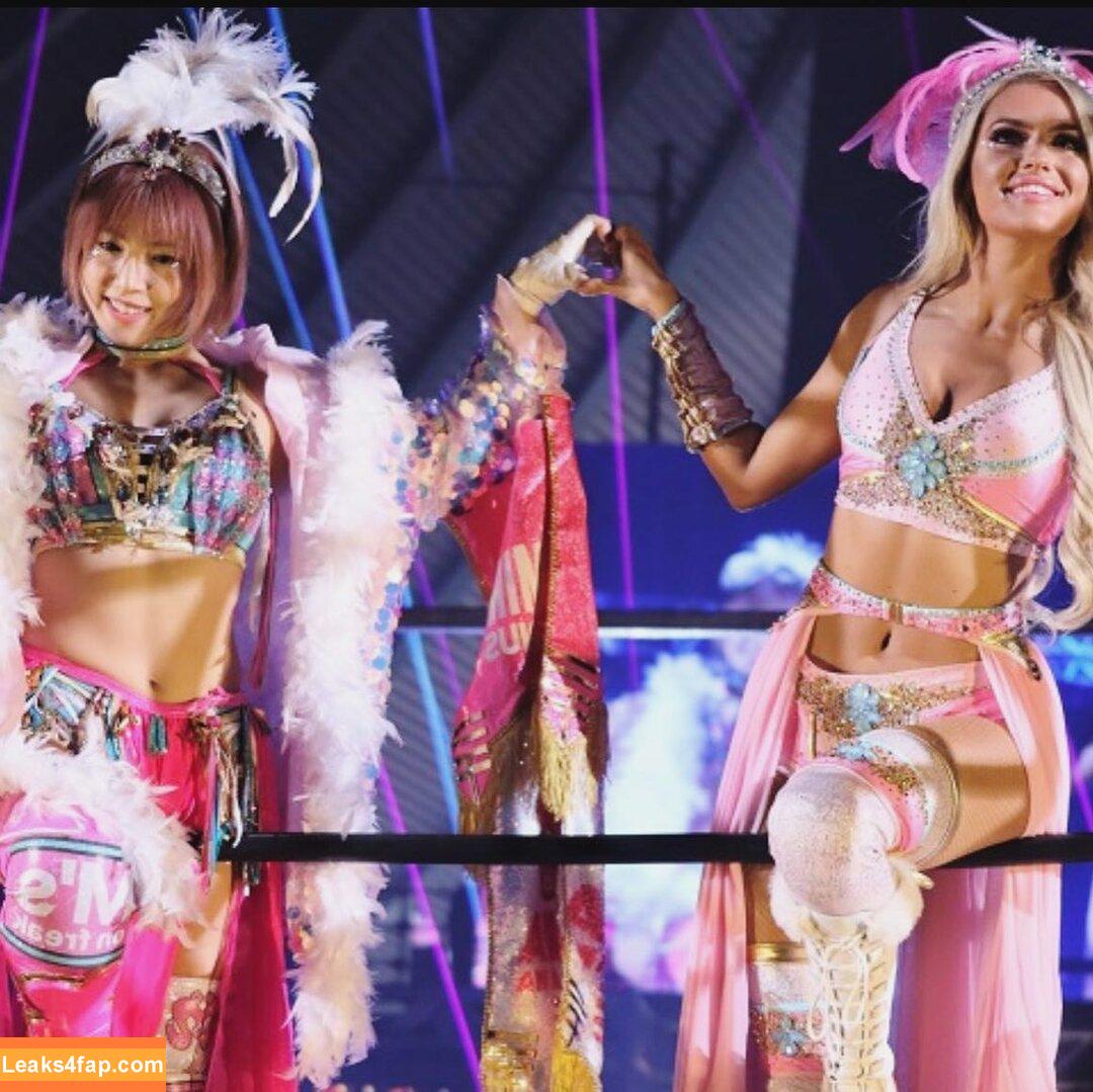 Mina Shirakawa / mina_shirakawa leaked photo photo #0975