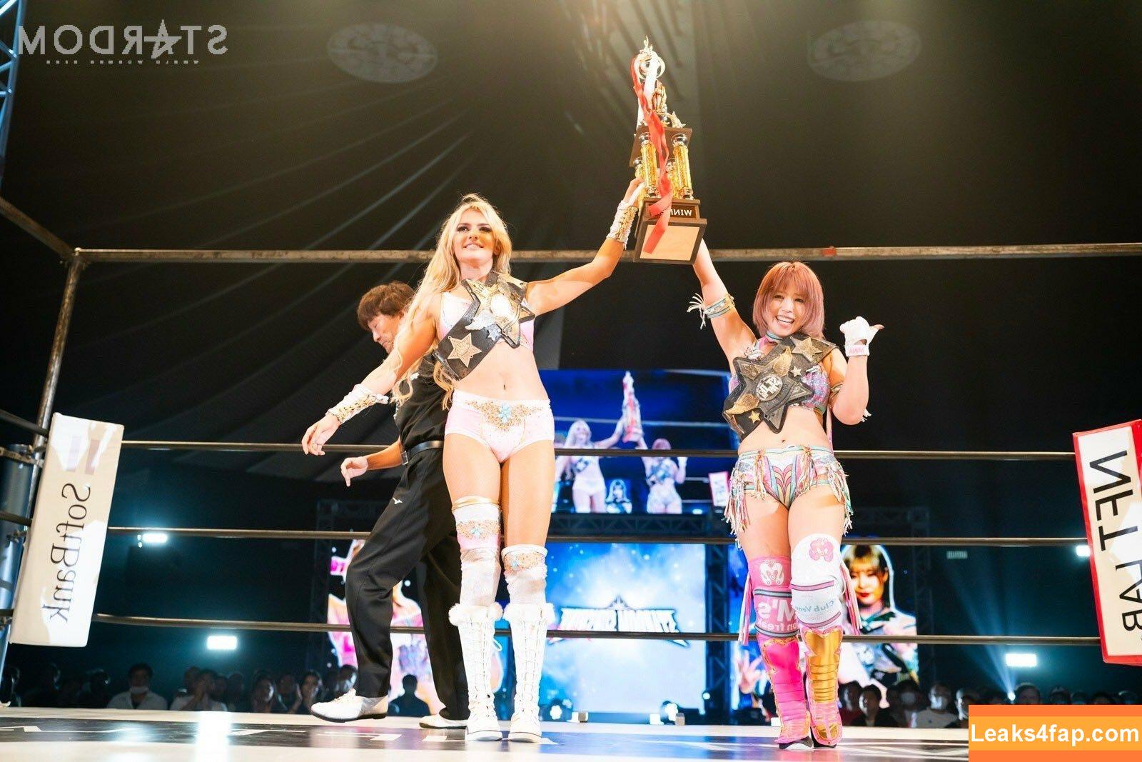 Mina Shirakawa / mina_shirakawa leaked photo photo #0991