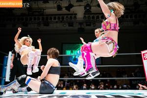 Mina Shirakawa photo #0307