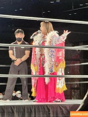 Mina Shirakawa photo #0369