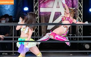 Mina Shirakawa photo #0457