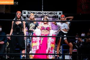 Mina Shirakawa photo #0535