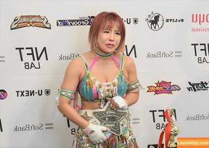 Mina Shirakawa photo #0651