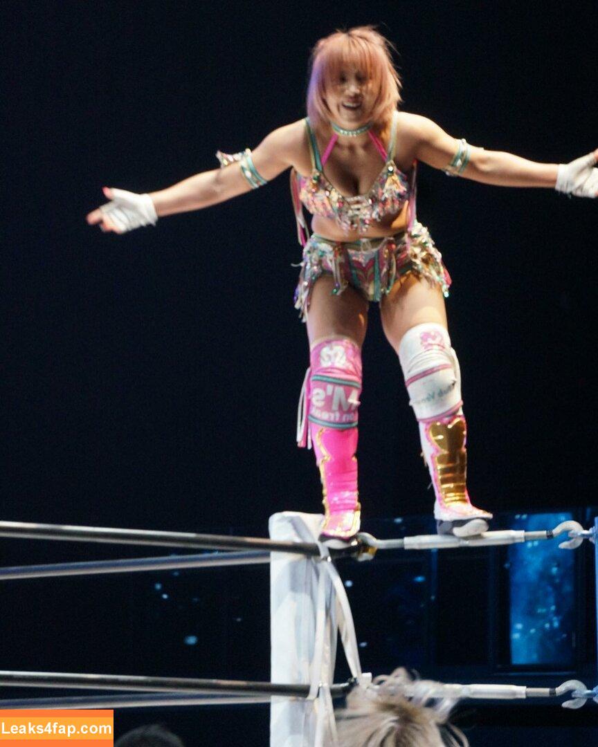 Mina Shirakawa / mina_shirakawa leaked photo photo #1016