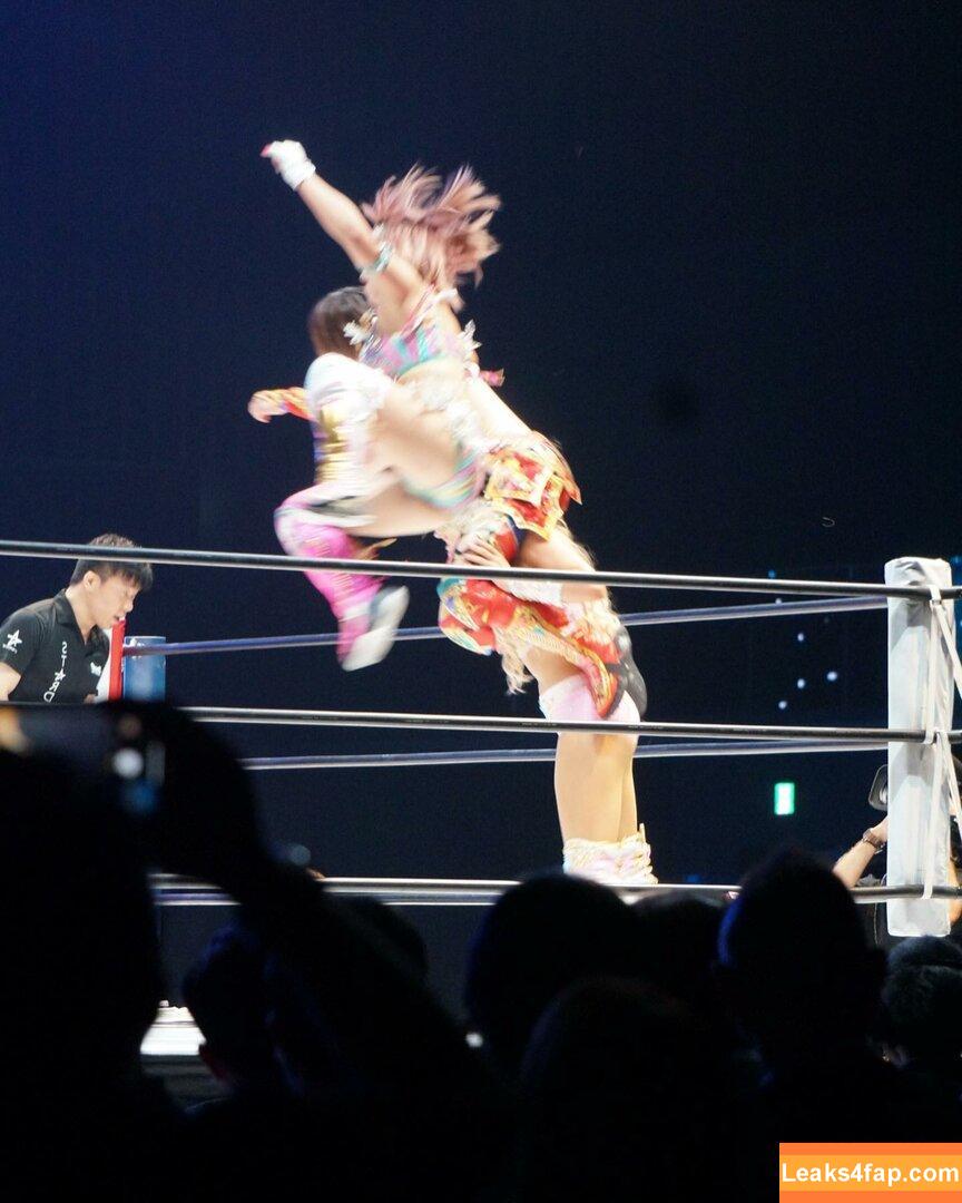 Mina Shirakawa / mina_shirakawa leaked photo photo #1017